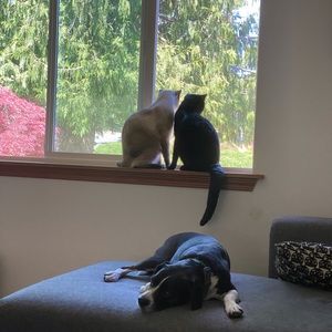 Welcome to my closet!!